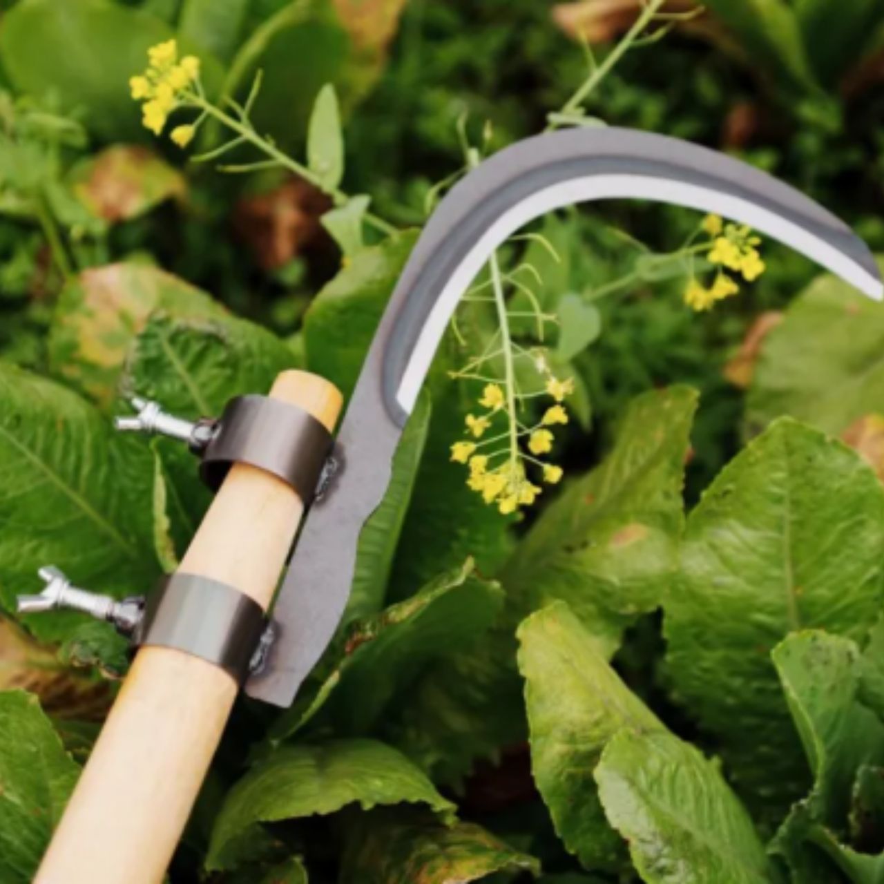 AgroTool, rezač za grane, korov, trnje i vegetaciju - Image 9