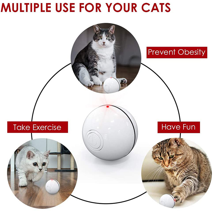 CatToy, igračka za mačke koja bježi i maše perom - Image 6