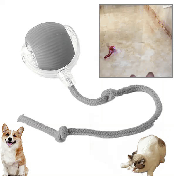 DOGTOY, ChewiePlay interaktivna loptica - video