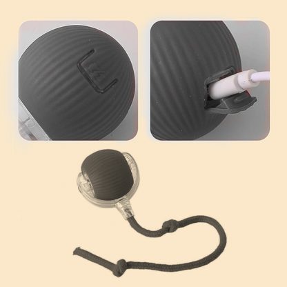 DOGTOY, ChewiePlay interaktivna loptica - Image 3