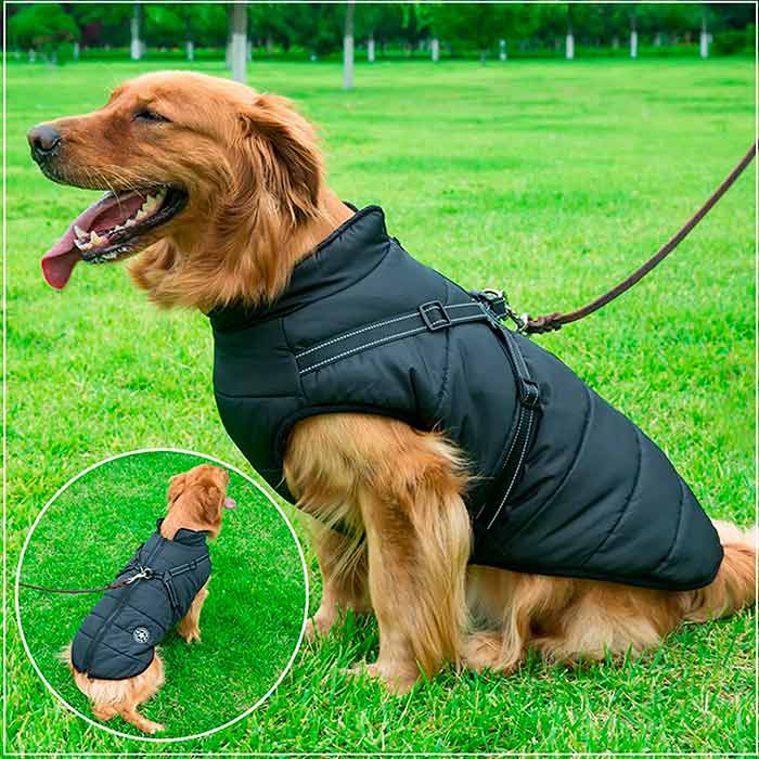 DogJacket, reflektirajući i vodootporni zimski kaput za pse - Image 10