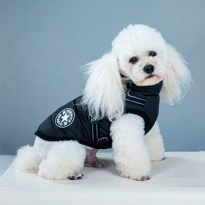 DogJacket, reflektirajući i vodootporni zimski kaput za pse - Image 15