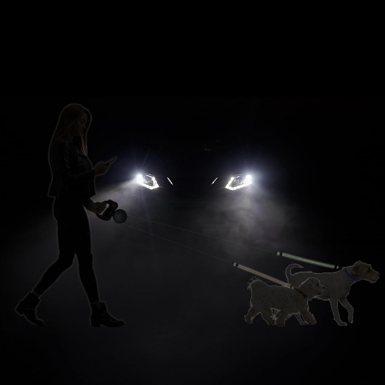 DoubleLeash, uvlačiva povodac za dva psa - Image 10