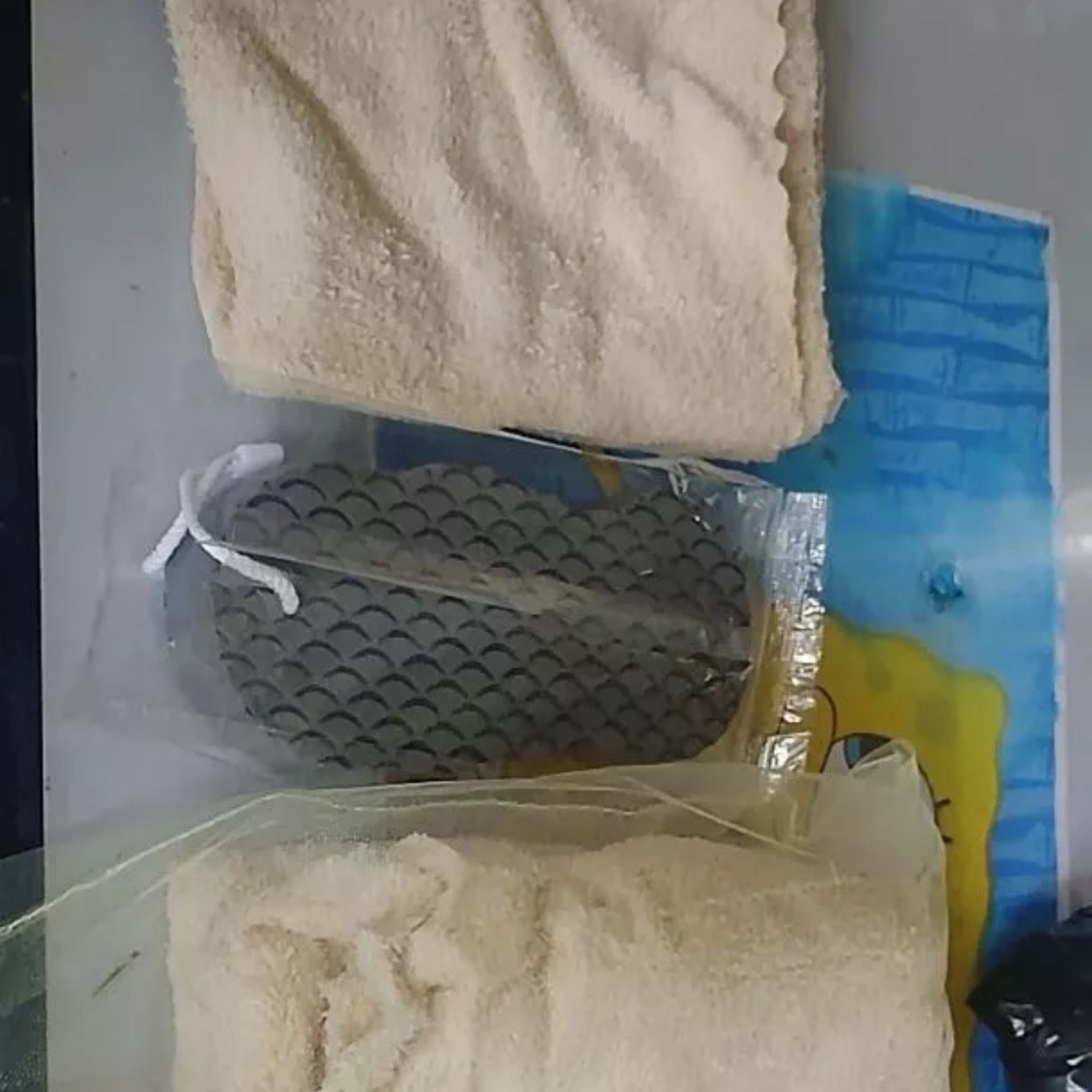 ExfoSponge, spužva za eksfolijaciju kože - Image 7