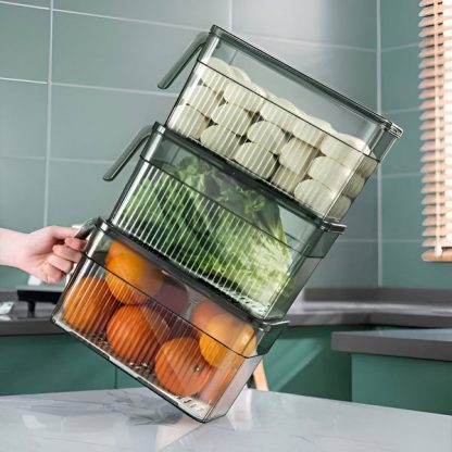 ORGADISH-TST, Prozirni organizator za hranu - Image 2