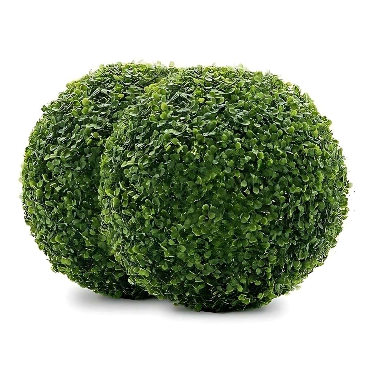 Orby, sfera umjetne biljke - Image 8