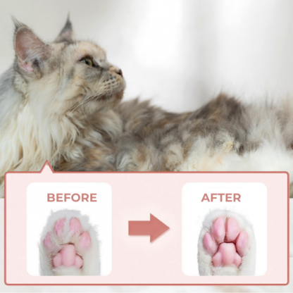 PAWTREAMER, PawPerfect Mini Trimer za Kućne Ljubimce - Image 4