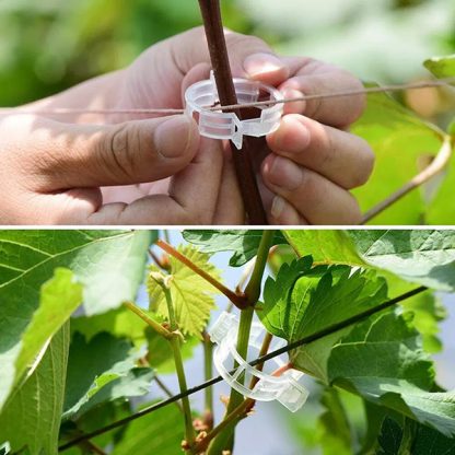 PLANTCLIP, GreenGrow Podrška za Biljke - 60 Spenjača - Image 3