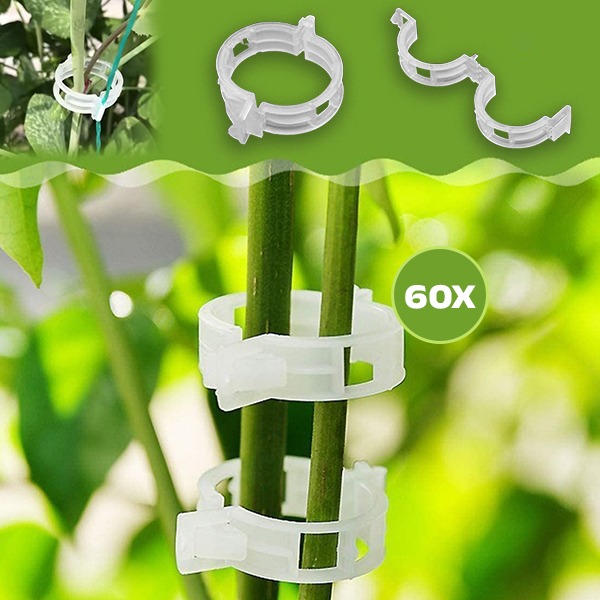 PLANTCLIP, GreenGrow Podrška za Biljke - 60 Spenjača - Image 5