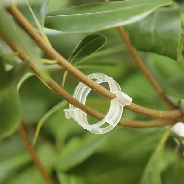 PLANTCLIP, GreenGrow Podrška za Biljke - 60 Spenjača - Image 6
