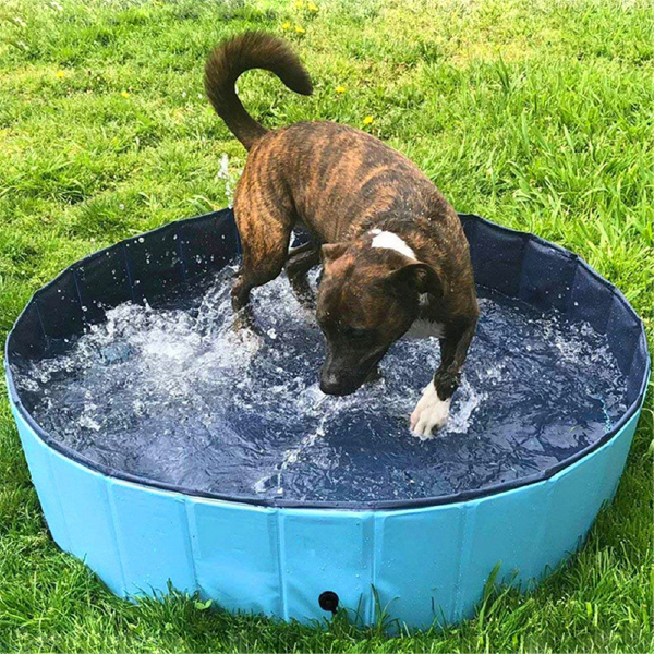 PawlyPool