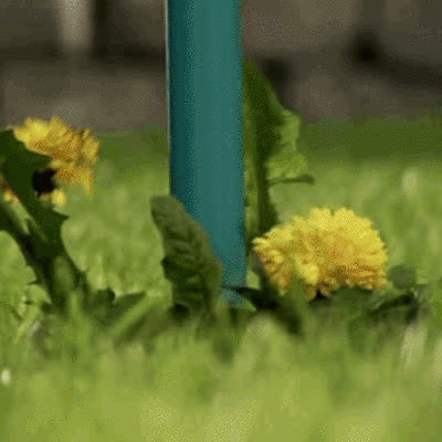 ROOTPULL, Uređaj za uklanjanje korijenja od nehrđajućeg čelika - video