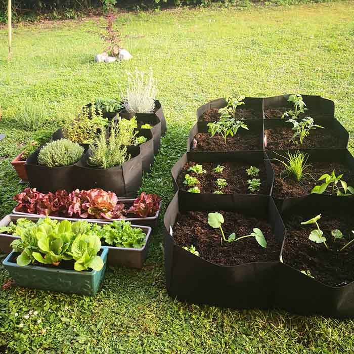 RaisedGarden, prijenosni vrt s 8 odvojenih odjeljaka - Image 4